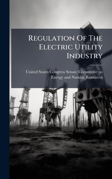 Regulation Of The Electric Utility Industry