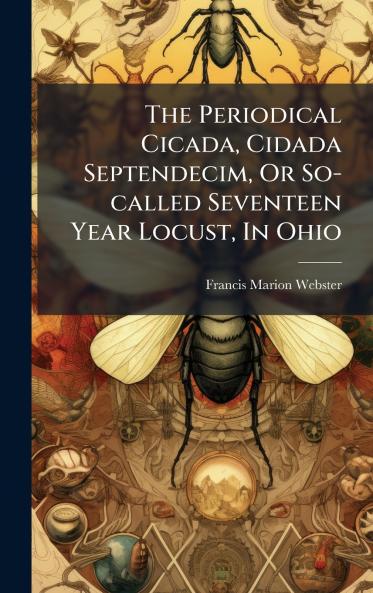 The Periodical Cicada Cidada Septendecim Or So-called Seventeen Year Locust In Ohio