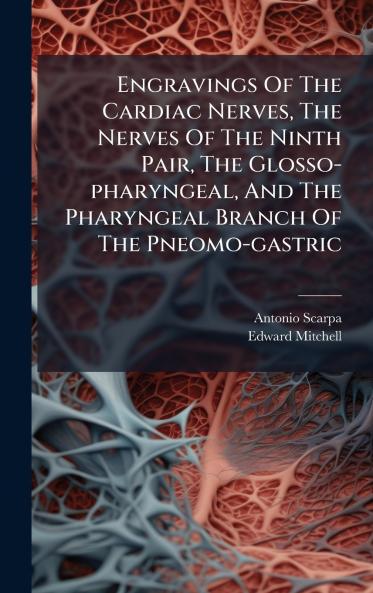Engravings Of The Cardiac Nerves The Nerves Of The Ninth Pair The Glosso-pharyngeal And The Pharyngeal Branch Of The Pneomo-gastric