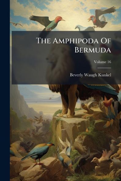 The Amphipoda Of Bermuda