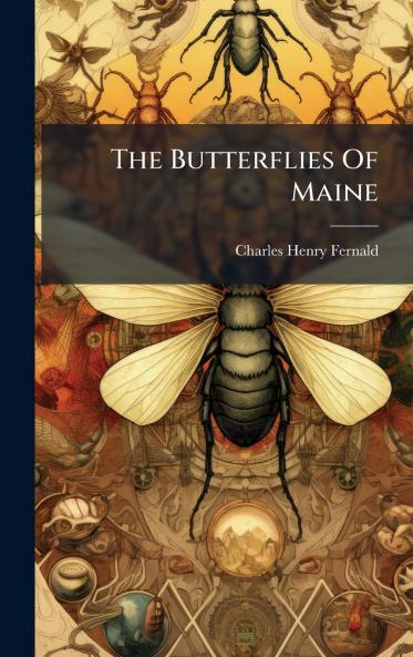 The Butterflies Of Maine