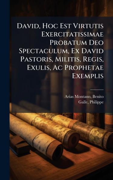David Hoc Est Virtutis Exercitatissimae Probatum Deo Spectaculum Ex David Pastoris Militis Regis Exulis Ac Prophetae Exemplis
