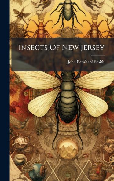 Insects Of New Jersey