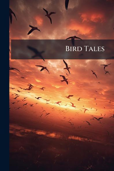 Bird Tales