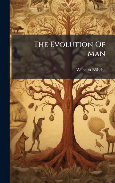 The Evolution Of Man