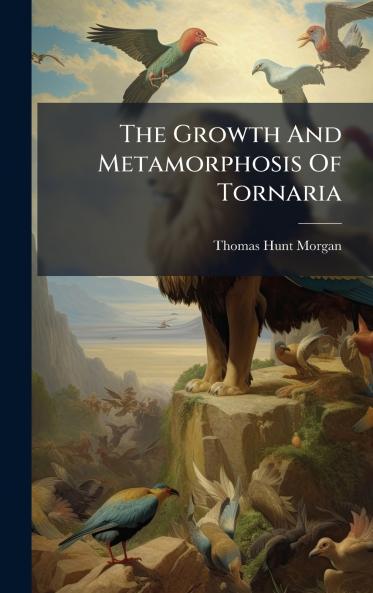 The Growth And Metamorphosis Of Tornaria