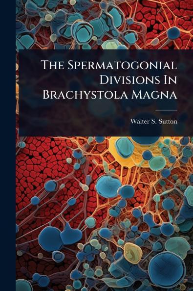 Spermatogonial Divisions In Brachystola Magna