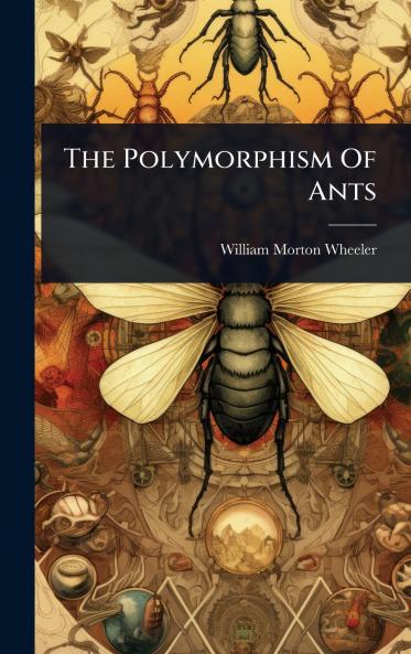 Polymorphism Of Ants