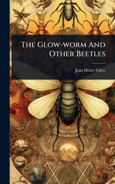 Glow-worm And Other Beetles