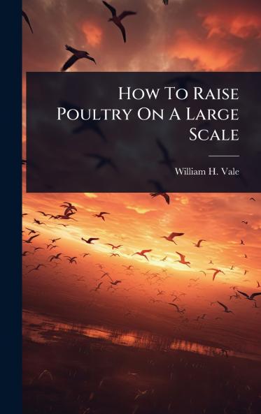How To Raise Poultry On A Large Scale
