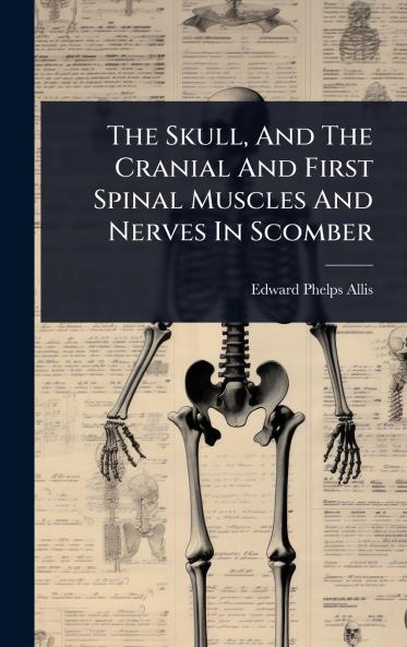Skull And The Cranial And First Spinal Muscles And Nerves In Scomber