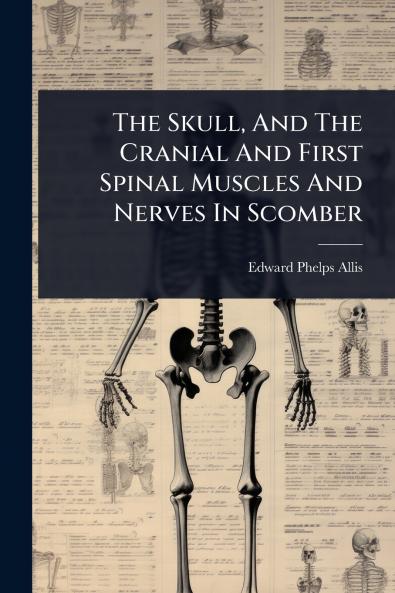 Skull And The Cranial And First Spinal Muscles And Nerves In Scomber