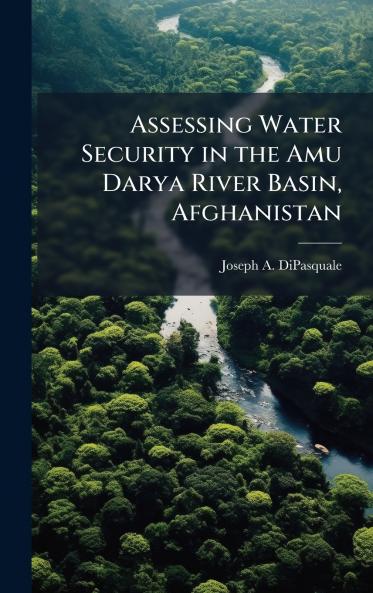 Assessing Water Security in the Amu Darya River Basin Afghanistan