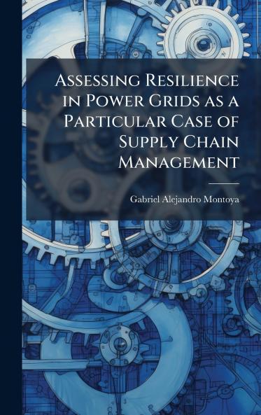 Assessing Resilience in Power Grids as a Particular Case of Supply Chain Management