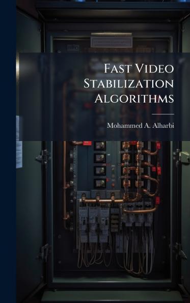 Fast Video Stabilization Algorithms