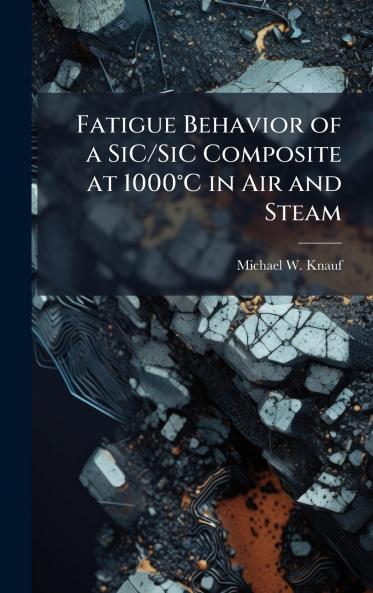 Fatigue Behavior of a SiC/SiC Composite at 1000Â°C in Air and Steam