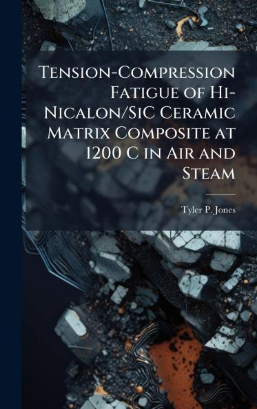 Tension-Compression Fatigue of Hi-Nicalon/SiC Ceramic Matrix Composite at 1200 C in Air and Steam