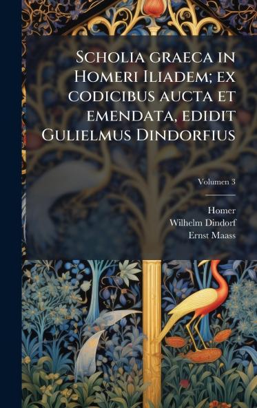Scholia graeca in Homeri Iliadem; ex codicibus aucta et emendata edidit Gulielmus Dindorfius