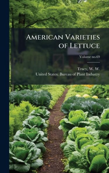 American Varieties of Lettuce