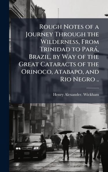 Rough Notes of a Journey Through the Wilderness From Trinidad to ParaÌ Brazil by Way of the Great Cataracts of the Orinoco Atabapo and Rio Negro ..