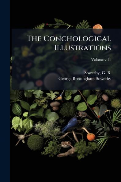 The Conchological Illustrations