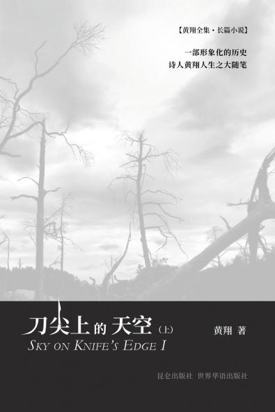 刀尖上的天空（上）