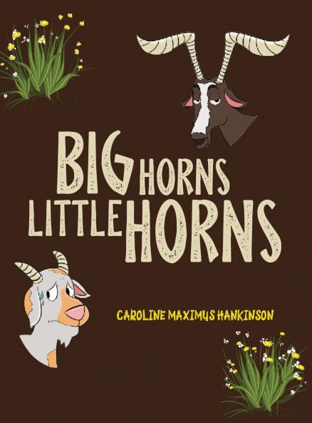 Big Horns Little Horns