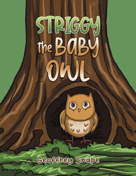 Striggy the Baby Owl