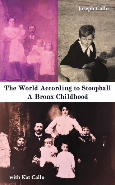 World According to Stoopball