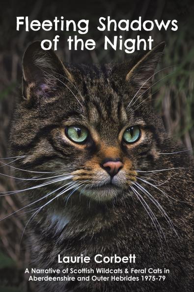 Fleeting Shadows of the Night