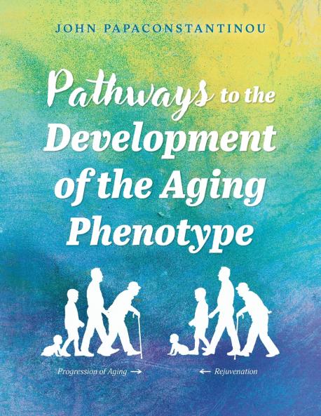 Pathways to the Development of the Aging Phenotype