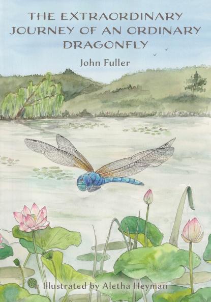The Extraordinary Journey of an Ordinary Dragonfly