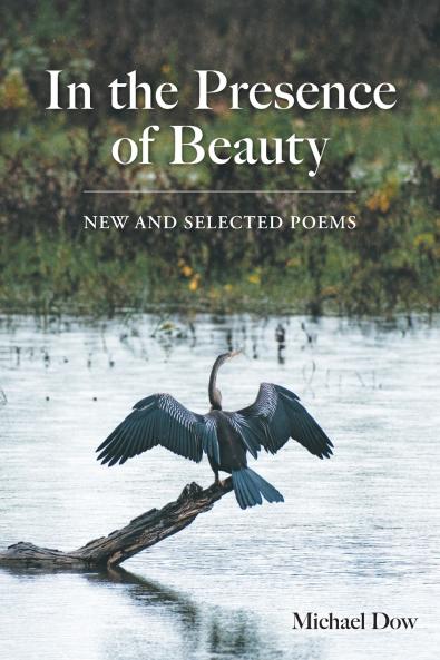 In the Presence of Beauty