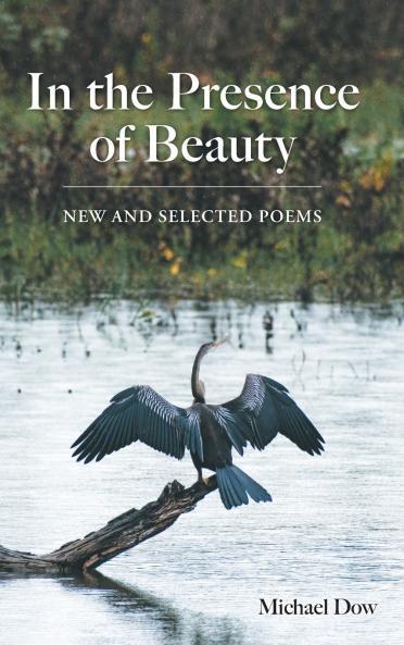 In the Presence of Beauty