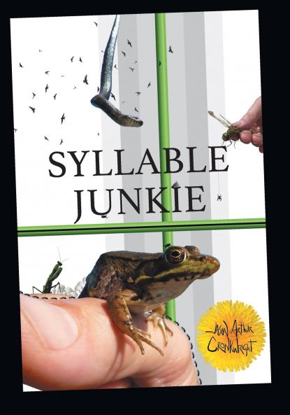 Syllable Junkie
