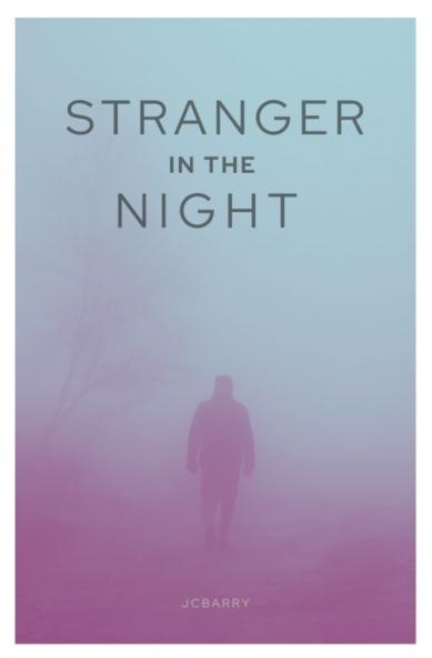 Stranger in the Night