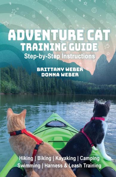 Adventure Cat Training Guide