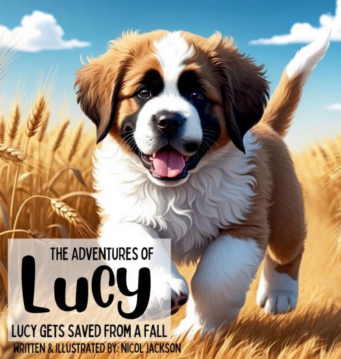 Adventures of Lucy - Lucy Gets Saved From A Fall