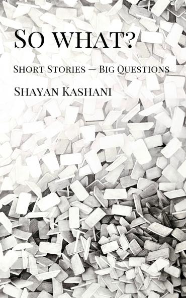 So What? Short Stories - Big Questions