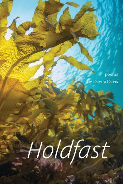 Holdfast