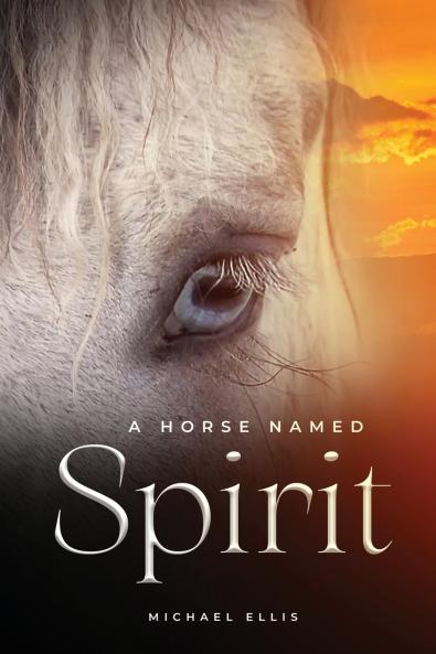 Horse Named Spirit
