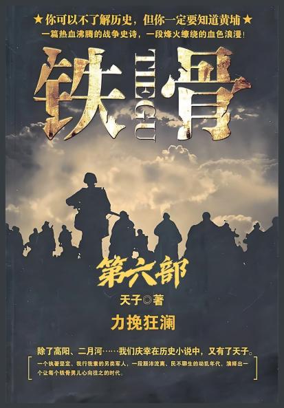 铁骨：第六部
