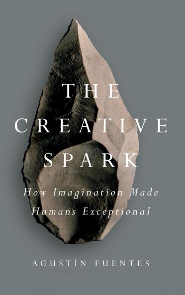 The Creative Spark