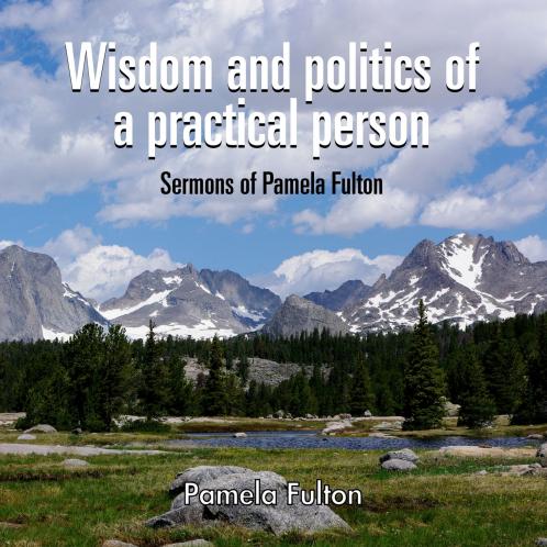 Wisdom and Politics of a Practical Person