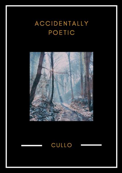 Accidentally Poetic