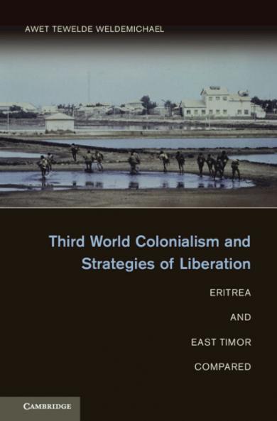 Third World Colonialism and Strategies of Liberation