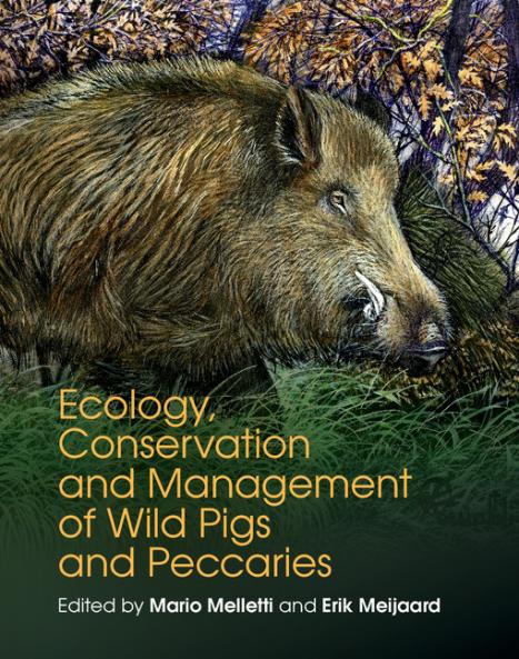 Ecology Conservation and Management of Wild Pigs and Peccaries