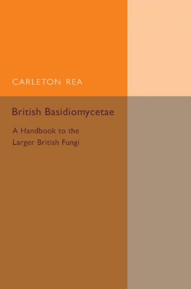 British Basidiomycetae