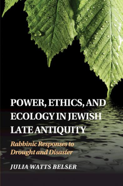 Power Ethics and Ecology in Jewish Late Antiquity
