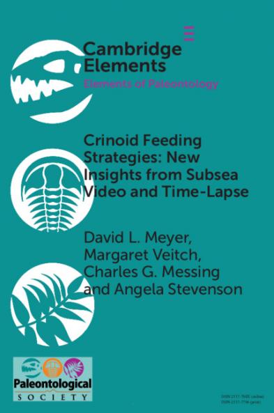 Crinoid Feeding Strategies